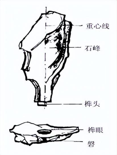 故宫御花园内的钟乳石,珊瑚石,木化石等.