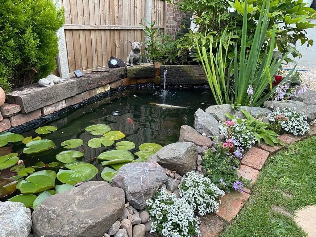 水边植物(能在浅水中生长的植物)也适宜用同样的方法种植,并且需要