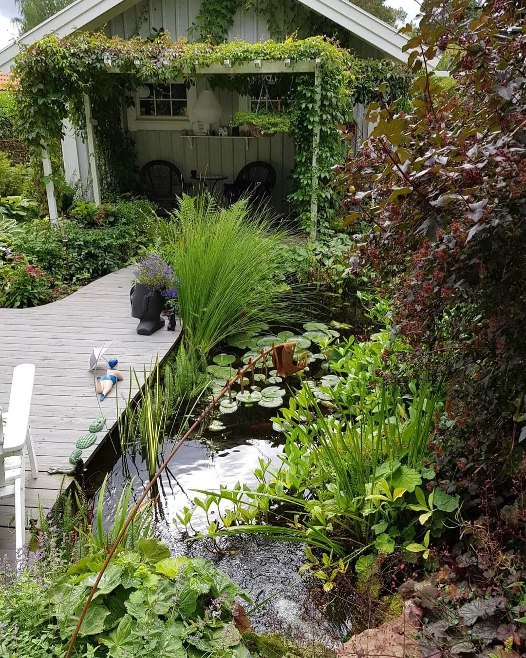 咋这么好看,活久见,植物与水景搭配才最美 - 深圳市绿雅坊景观园艺