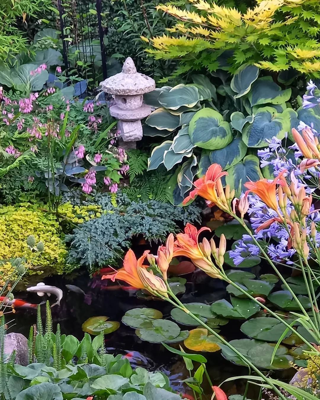 咋这么好看,活久见,植物与水景搭配才最美